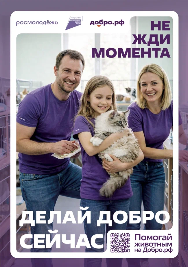 плакаты5-01.jpg