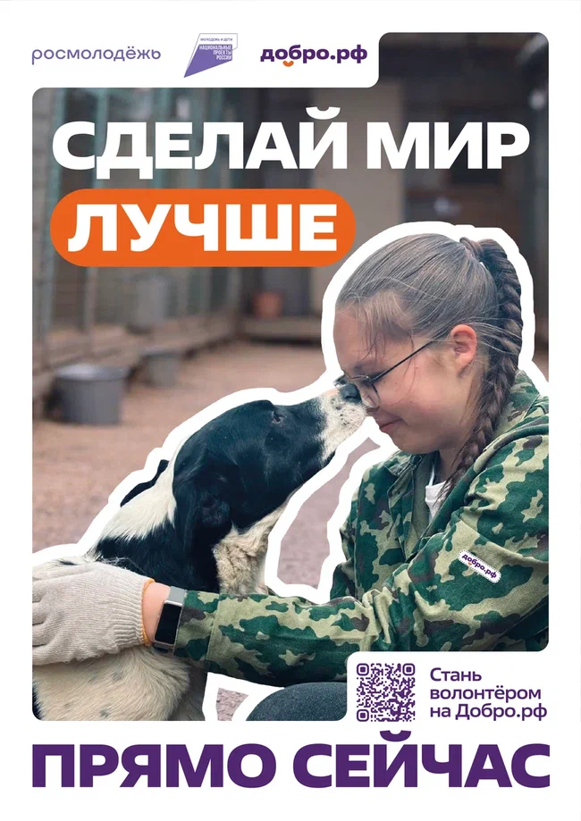 11-01.jpg