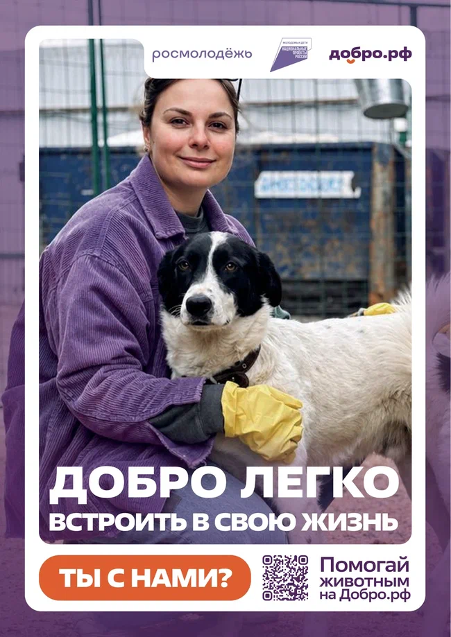 плакаты3-01.jpg