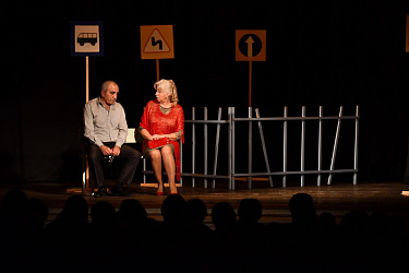 Благотворительный показ спектакля Заслуженного коллектива народного творчества РФ театра «Полином» «Земля Эльзы»